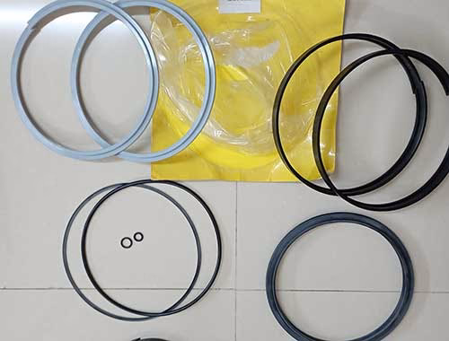 Seal-Kit-Duplex-120-T-(PTC)