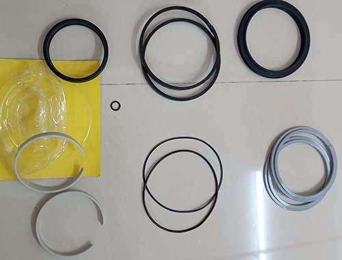 Seal kit duplex 55t