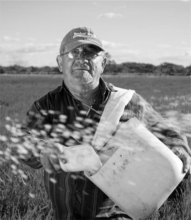 Tradition for years…