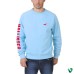 Hollister Applique Logo Sweatshirt