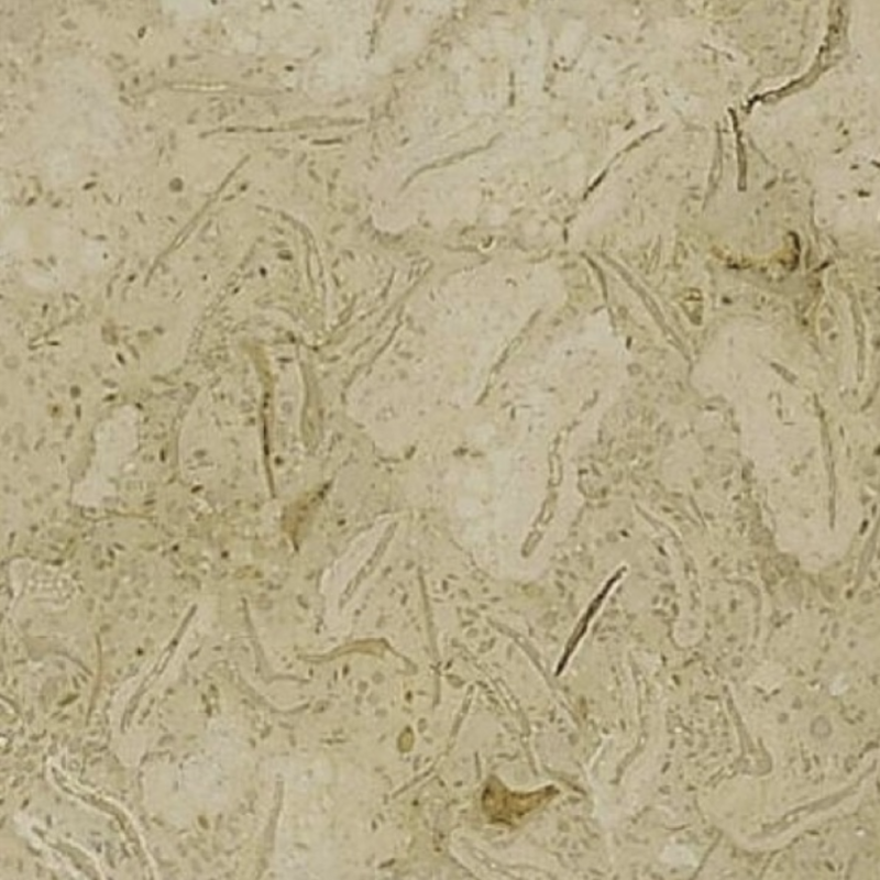 Trevera